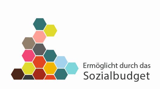 Logo sozialbudget